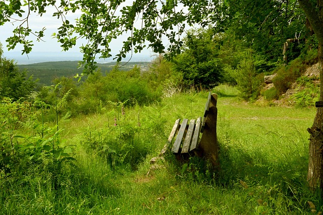 从威尔斯掌 从威尔斯掌