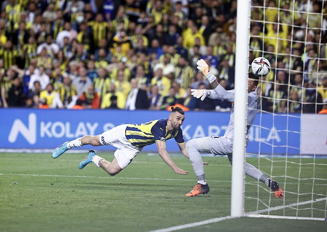 兰未能完全 兰未能完全