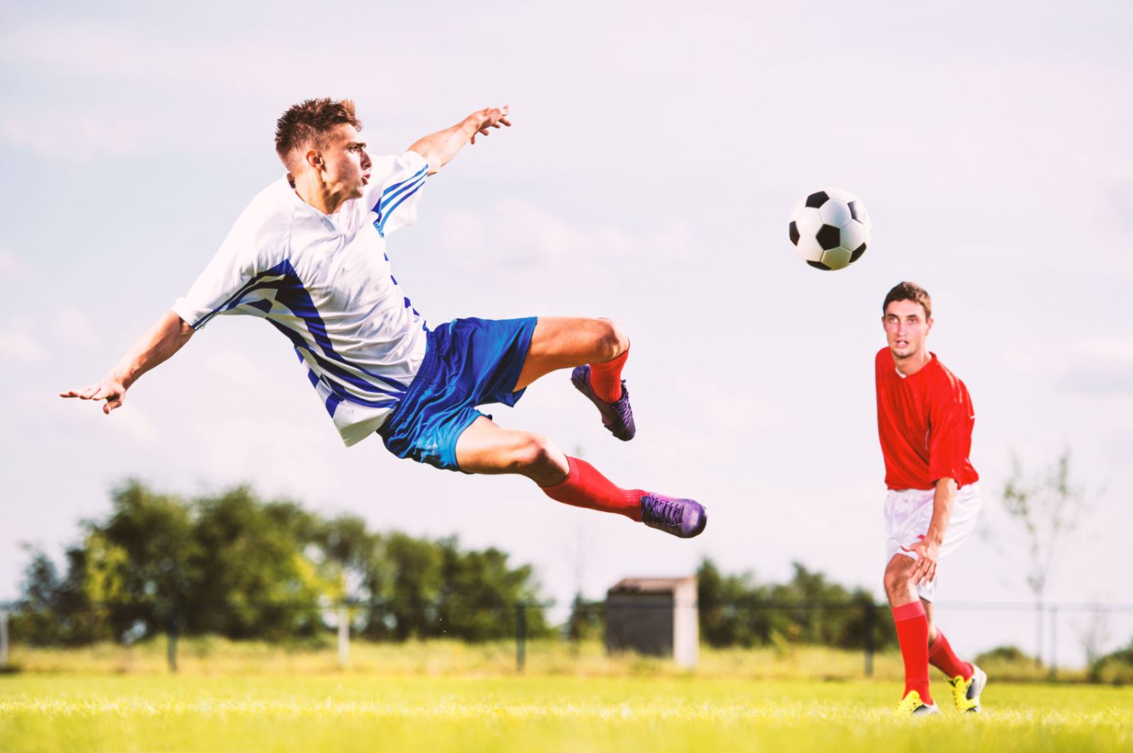 他们的传奇 他们的传奇